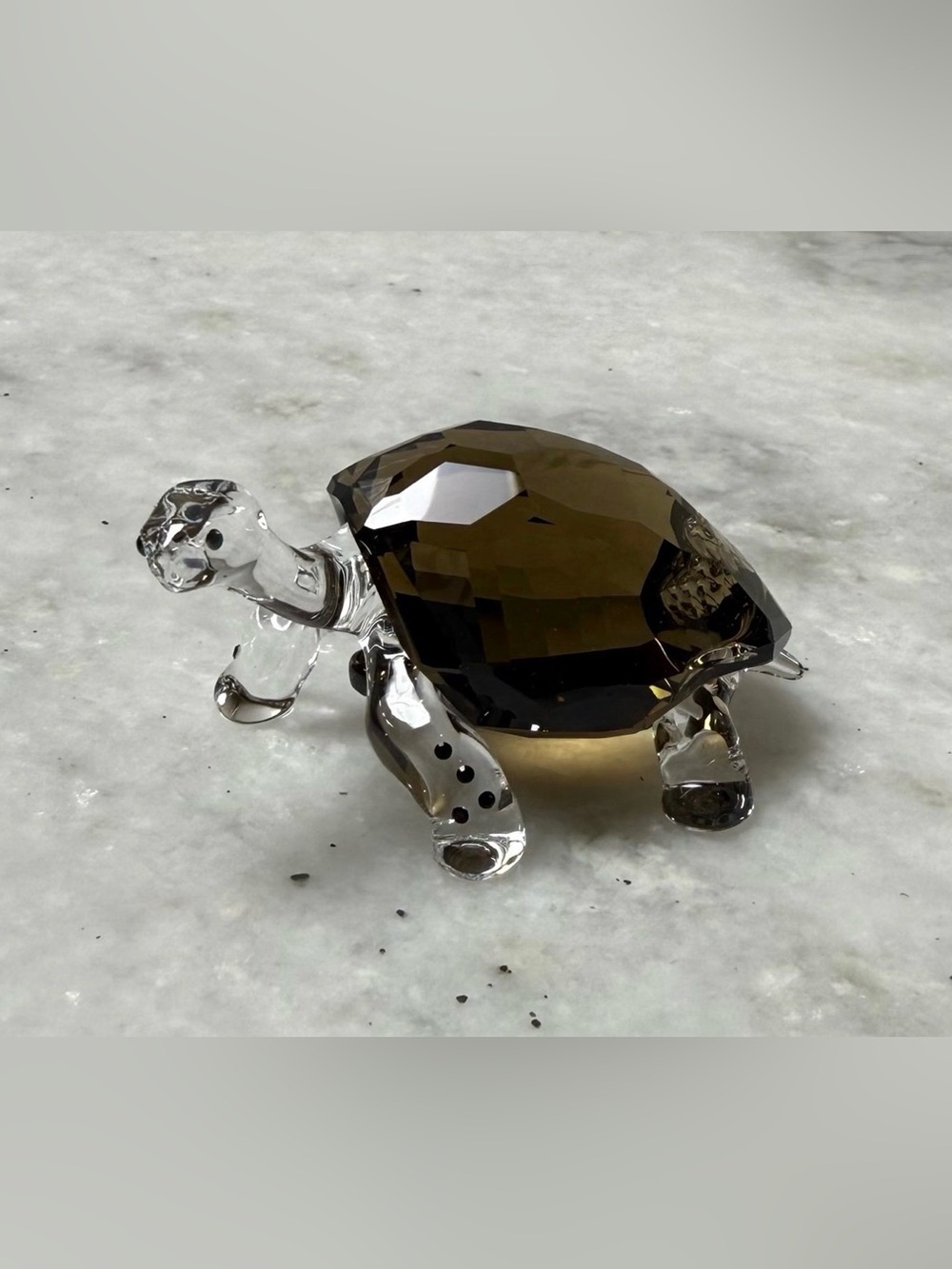 NIB Swarovski Galapagos Tortoise Event Piece (2010)